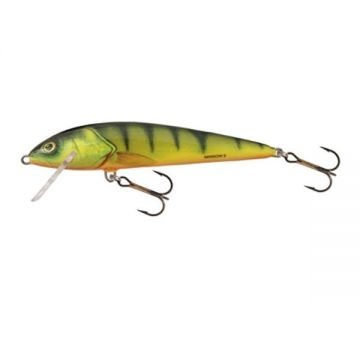 Vobler Salmo Minnow M5F HP Floating 5cm/3g