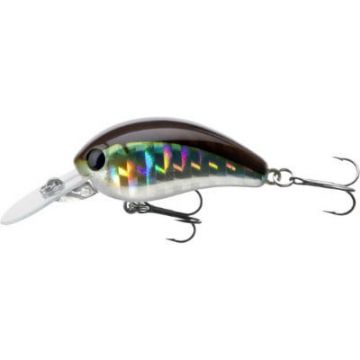 Vobler Daiwa Tournament Baby Crank 35F, Kibinago, 3.5cm, 3.5g