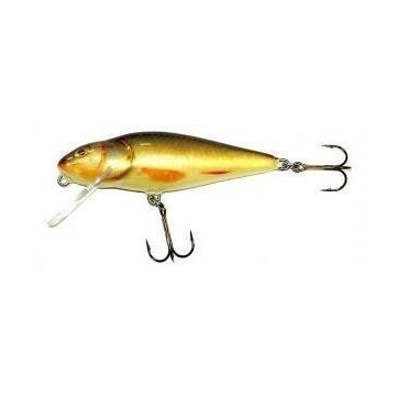 Vobler Salmo Perch PH8DR RR plutitor 8 cm/14 gr