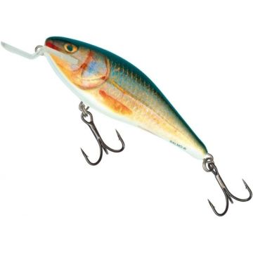 Vobler Salmo Executor Shallow Runner EX7SR, culoare RR, 7cm, 8g