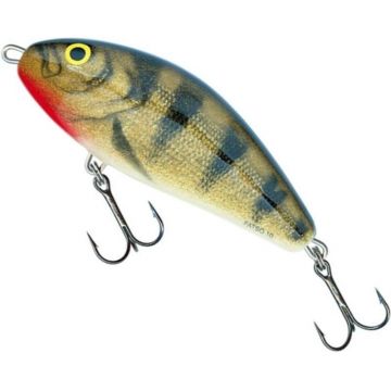 Vobler Salmo Fatso Floating F10F, culoare EP, 10cm, 48g