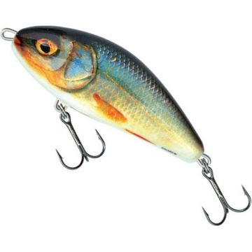 Vobler Salmo Fatso Floating F10F, culoare RR, 10cm, 48g