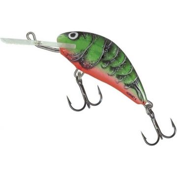 Vobler Salmo Hornet Floating H6F, culoare RVC, 6cm, 10g