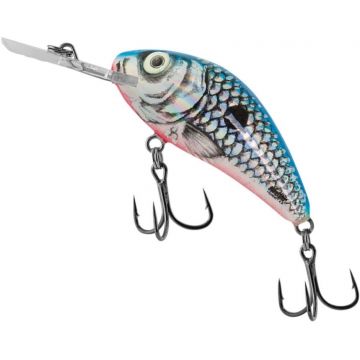 Vobler Salmo Hornet Floating H6F, culoare SBS, 6cm, 10g