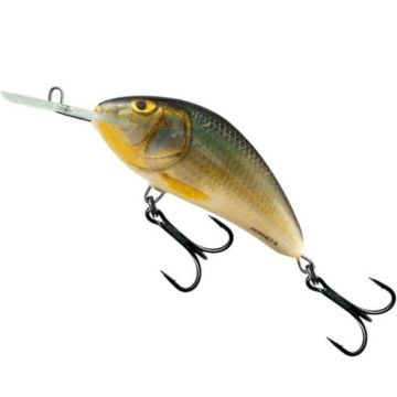 Vobler Salmo Hornet H9F, Floating, culoare RR, 9cm, 36g