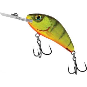 Vobler Salmo Hornet Rattlin H6.5F, culoare HP, 6.5cm, 20g