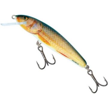 Vobler Salmo Minnow Floating M6F, culoare RR, 6cm, 4g