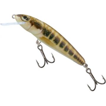 Vobler Salmo Minnow Sinking M5S, culoare M, 5cm, 5g