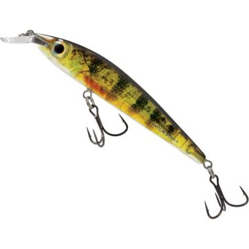 Vobler Salmo Rattlin Sting, culoare RYP, 9cm, 11g