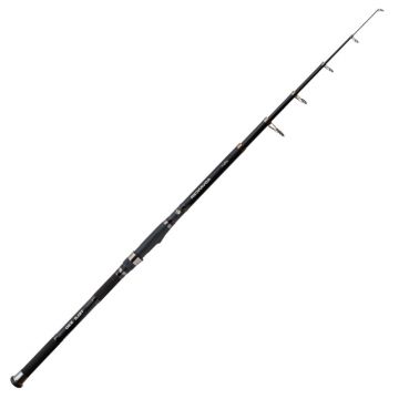 Lanseta Carp Expert Advancer Tele, 40-80g (Lungime lanseta: 3 m)