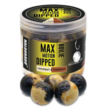 Boilies Haldorado Max Motion Boilie Dipped, 20mm, 100g (Aroma: Alune Spaniole)