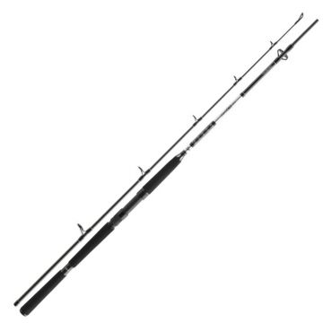 Lanseta Daiwa BG Offshore Pilk, 2.40m, 40-125g, 2 tronsoane