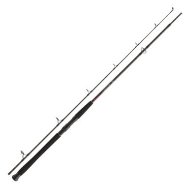 Lanseta Daiwa Exceler Catfish Spin, 2.40m, 185g, 2 tronsoane