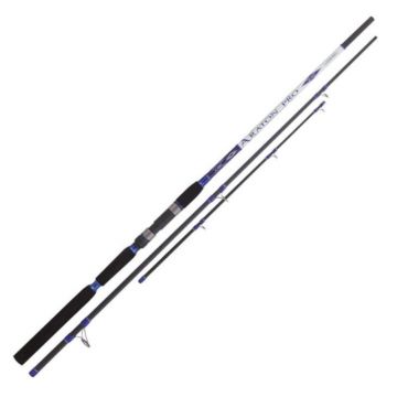 Lanseta Colmic Araton Pro, 2.80m, 70-300g, 2+4 tronsoane