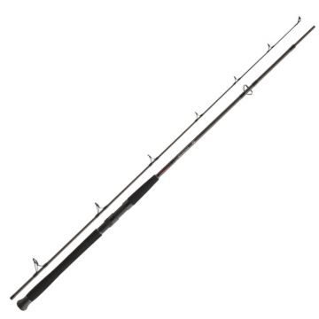 Lanseta Daiwa Exceler Catfish Spin, 2.40m, 135g, 2 tronsoane