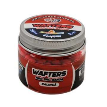 Wafters Mini Pro Banda Palinca 5mm 20gr. Wafters Mini Pro Banda Palinca 5mm 20gr.