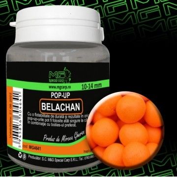 Pop-Up Belachan 10-14mm Pop-Up Belachan 10-14mm
