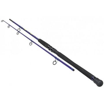 Lanseta Sportex Neptoon Jigging, 2.15m, 20lbs, 2 tronsoane