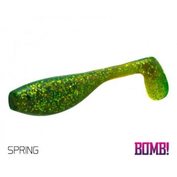 Shad Delphin BOMB Fatty, Spring, 10cm, 5 buc