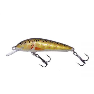 Vobler Salmo Minnow M6F T plutitor 6 cm/4 gr