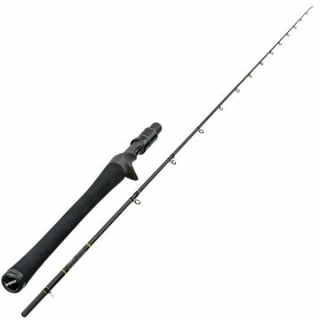 Lanseta Sportex Hydra Speed Baitcast, 2.20m, 180g, 2buc