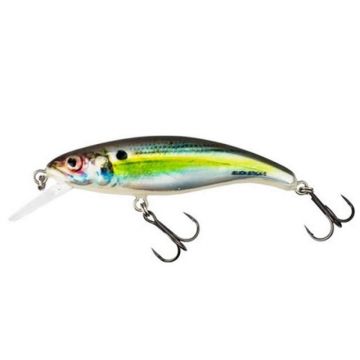 Vobler Salmo Slick Stick, RHS, 6cm, 3g